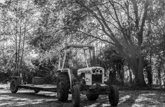 'Bramley' Hut on private farm - Foto 20