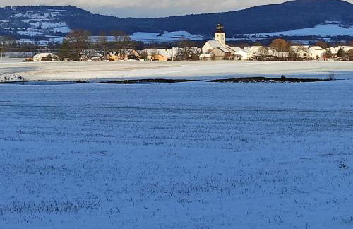 Schöne helle Ferienwohnung in Waldnähe - Foto 30