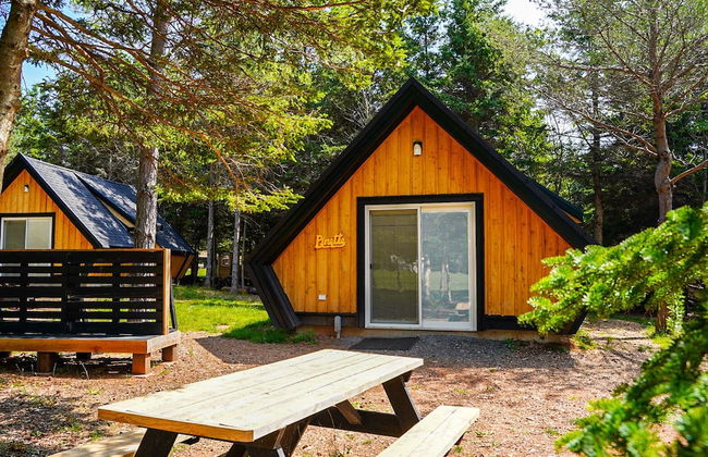 Wild Pines Cabins - Foto 6