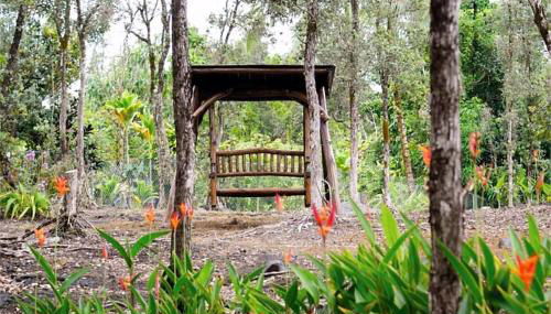 Keaau Place - Photo 3, Garden