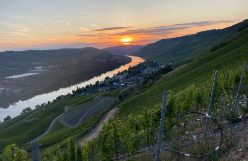 Apartment an der Mosel 2 - Foto 32