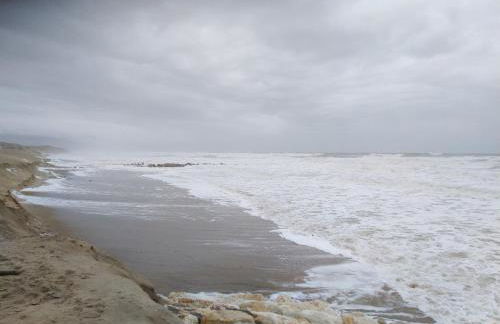 le studio de Monta - Foto 15