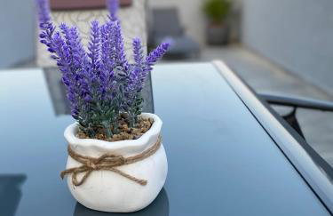 Villa Maleo - Photo 60