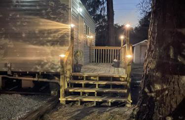 Tropical Studio Retreat with Great WiFi and EV charging - Photo 11