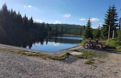 Ferienwohnung Fürst - Foto 21