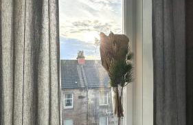 Flat for 6 guests near Glasgow, Loch Lomond - Foto 22