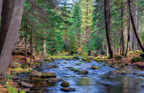 Black Butte Beauty - Foto 35