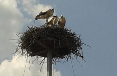 Ferienwohnung Im Wachturm - Foto 6