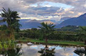 Oberberghof - Foto 39