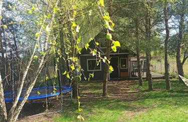 Rodzinny Domek nad Zalewem - Foto 17