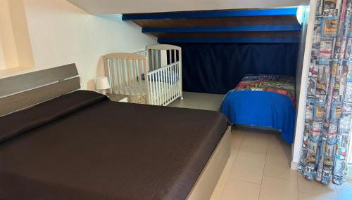 Mansarda mentana - Foto 3