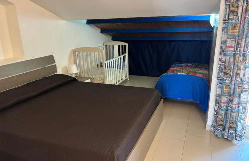 Mansarda mentana - Foto 3