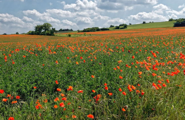 Cottage in Luberon Near Apt Market - Foto 22