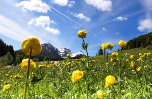Villa in Tagliacozzo with Pool and Nature - Foto 33