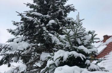 Zielony Zakątek - Foto 26