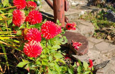 Pieśń Poranka Domek - Foto 49