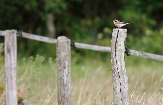 Unusual Hideaway in Lorraine - Photo 15