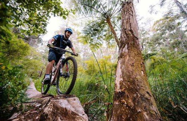 Margarets Beach Resort - Foto 52