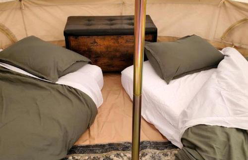 Amazing Glamping Tents Perfect for Outdoor and Nature Lovers in Chugiak, Alaska - Foto 17