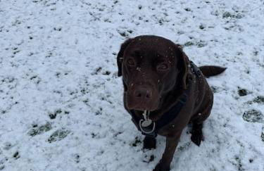 Lakeside retreat - Lodge 2F caer beris holiday park - no commercial vehicles allowed on site - Foto 33