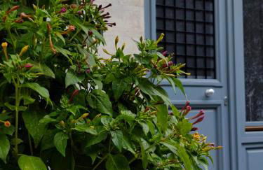 THOMAS LUXURY APARTMENT in the historical center of Ioannina - Foto 33