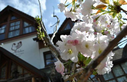 Apart Hotel Goldener Hahn Baiersbronn, Ferienwohnungen | Frühstück, Sauna & Indoorpool - Foto 10