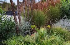 Villa de Gascogne - Foto 15