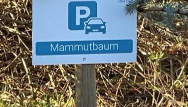 Naturidyll Mariendorf - Ferienwohnung Mammutbaum - Foto 5