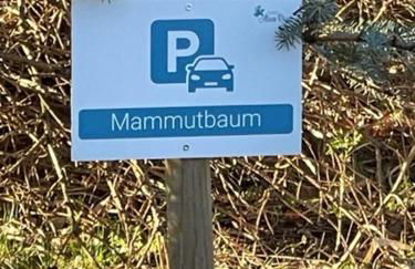 Ferienwohnung Mammutbaum - Foto 5