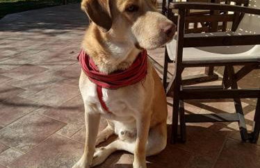 Ktima Anastasia - Foto 43