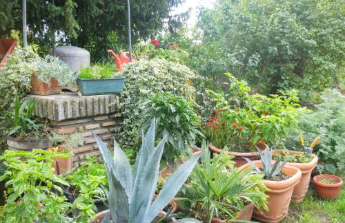 Appartamento Danilla - Foto 20