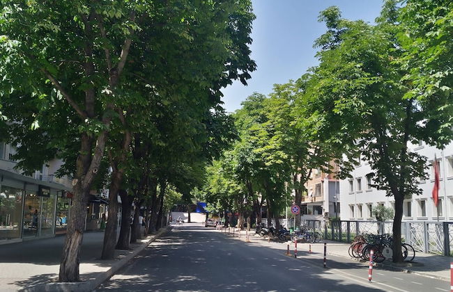 Lovely 1 1 Rental Ap In Myslym Shyri Tirana - Foto 16