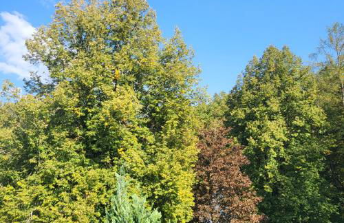 Bel - Self Check-Inn - Foto 13