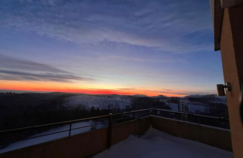 Penthouse - Panorama Suite - Hohegeiß - Foto 35