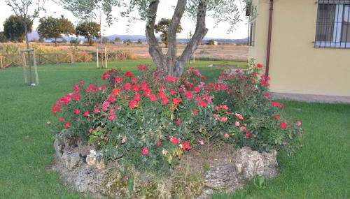 Il casale di famiglia - Foto 4