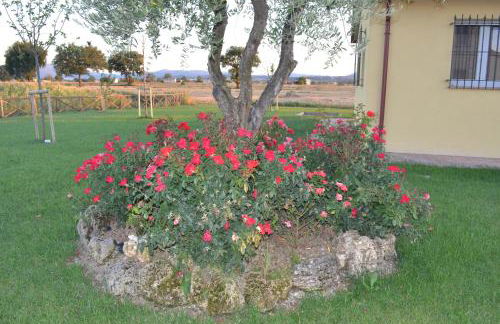 Il casale di famiglia - Foto 4