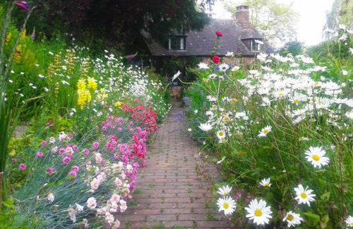 Saint Pancras Chapel - Foto 50