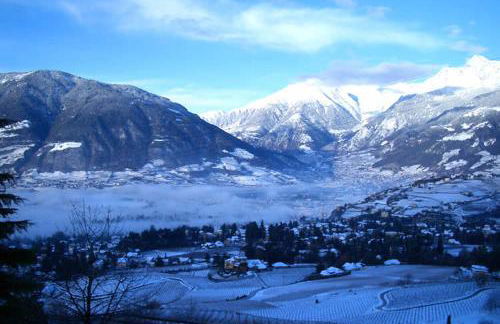 Schwarzplatterhof - Foto 5