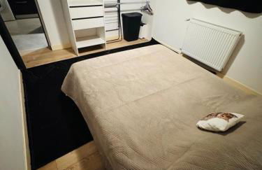 T3 Ancenis Saint Gereon - Foto 19