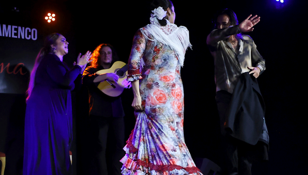 Tablao Flamenco Alma - Show - Foto 5