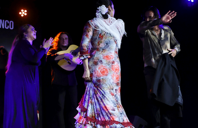 Tablao Flamenco Alma - Show - Foto 5