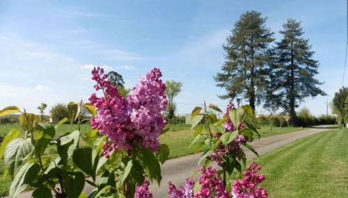 Gîte Le Grand Puy Loup - Foto 2