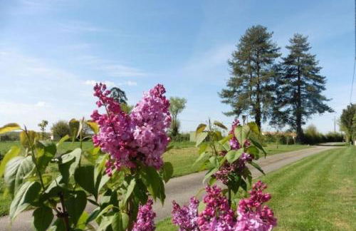 Gîte Le Grand Puy Loup - Foto 2