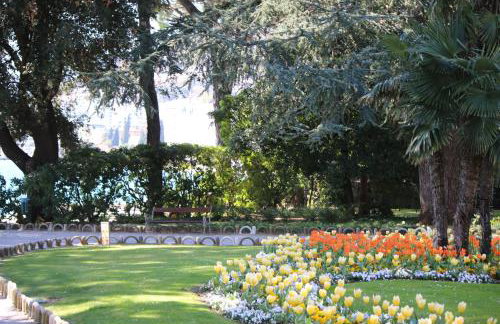 Apartman Harmony - Photo 14