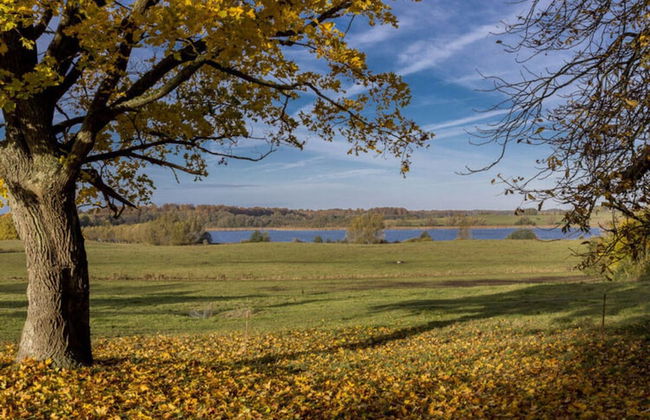 Nice Apartment in Klein Upahl - Foto 15