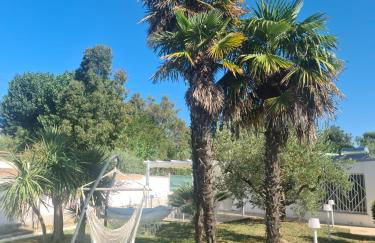 Le Dune di Circe - Foto 18