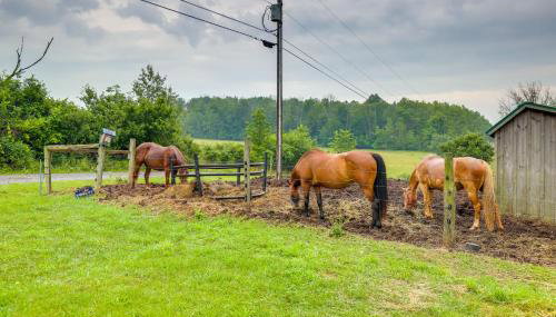 Scenic Deck and Grill Middlebury Center Retreat! - Foto 2