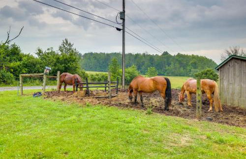 Scenic Deck and Grill Middlebury Center Retreat! - Foto 2
