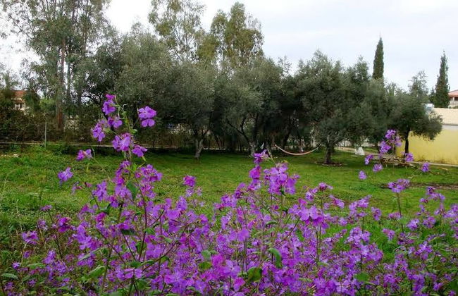 Cute Yellow Handmade House With Garden - Foto 65