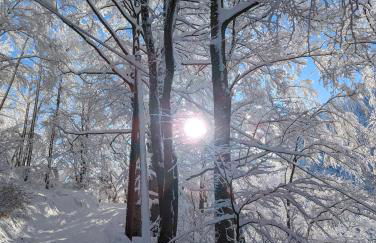 Ferienwohnung Goasnstoi - mit HotTub und Bergblick im Inntal - Foto 30